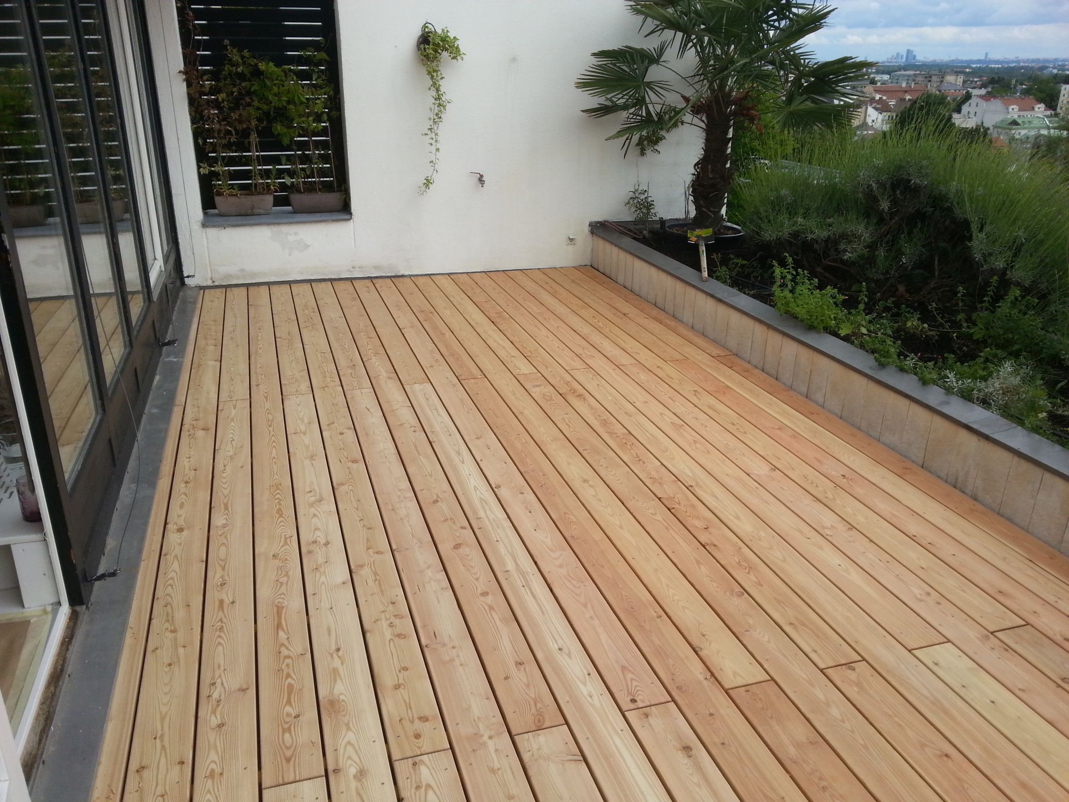 Holzdielen 16 lärchenboden_ast_1