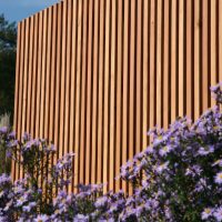 Natürlich Holz: Leistenwand aus Lärche für moderne Garten- und Terrassengestaltung