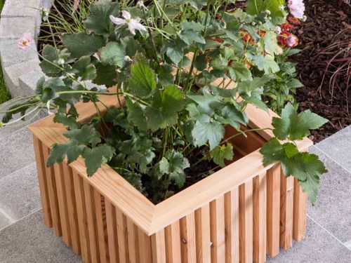 Linea_Design_Pflanztrog_Laerche_Holz_nach_Mass_WALLI