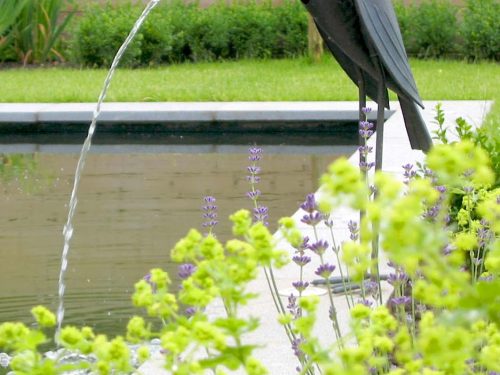 Wasserspeier_3