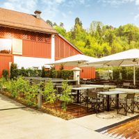 imagepicture_palazzo_royal_2018